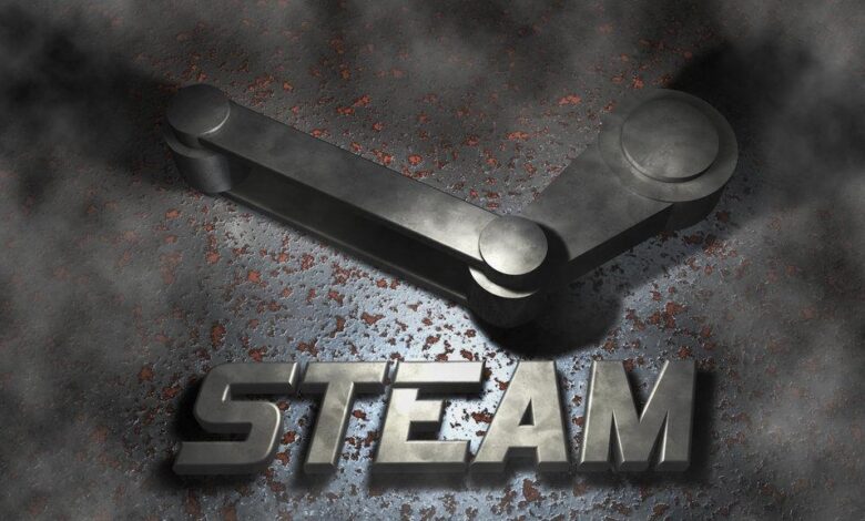 Steam acma kurulum