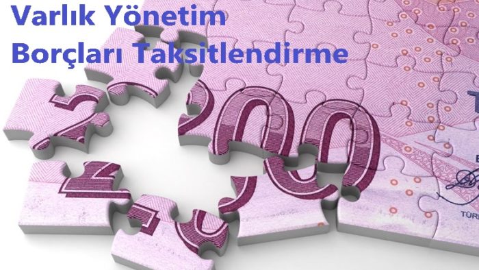 Varlık Yönetim Şirketlerine Devredilen Banka Borçları