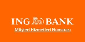 ING Bank Telefon Bankacılığı – 0850 222 0 600