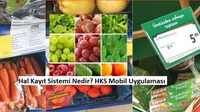 Hal Kayıt Sistemi nedir? HKS Mobil ile Fiyat Takip Etme
