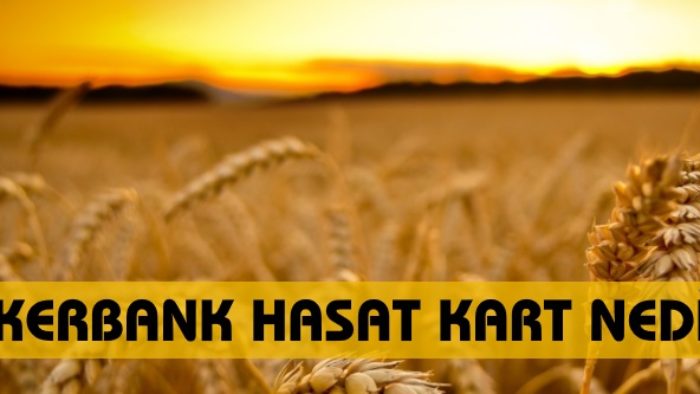 Şekerbank Hasat Kart Nedir?