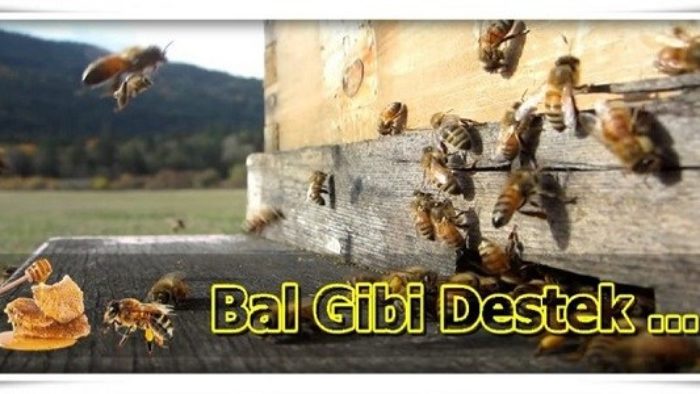 2019 Yılı Arıcılık Hibe ve Destekleri