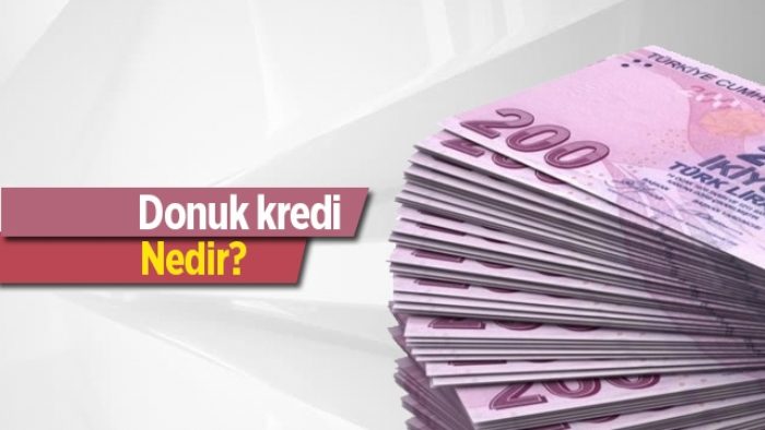 Donuk Alacak Niteliğindeki Kredi ve Diğer Alacaklar Nedir?