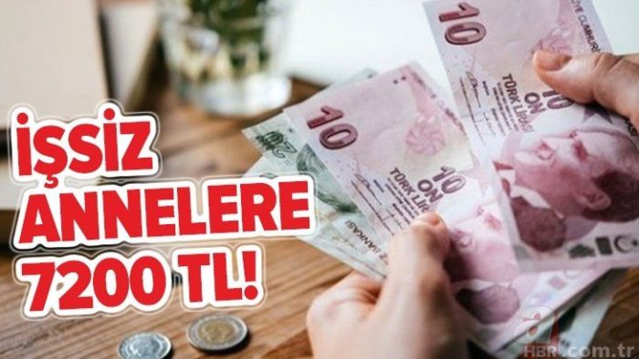 İŞKUR’dan İşsiz Anneye 7200 TL Harçlık