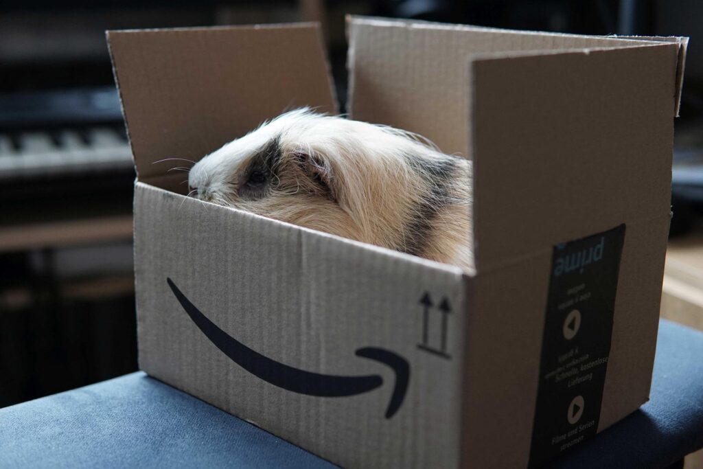 Amazon ve Twitch Prime Üyeliği Nasıl İptal Edilir?