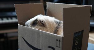 Amazon Prime İptal Etme Nasıl Yapılır | bilgibankan.com